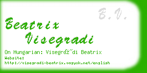 beatrix visegradi business card